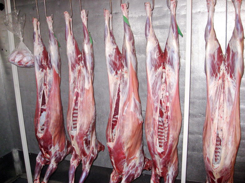 Goat Carcass