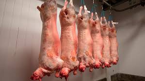 Mutton Carcass